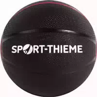 Sport Thieme Medizinball Gym