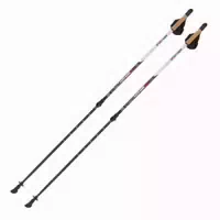 Sport Thieme Nordic Walking Stöcke Lock Up Pro