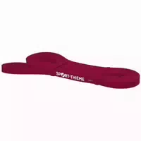Sport Thieme Powerband Performer