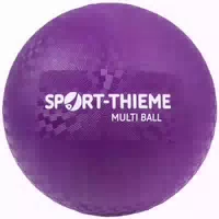 Sport Thieme Spielball Multi Ball