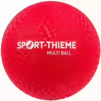 Sport Thieme Spielball Multi Ball