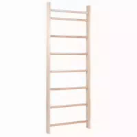 Sport Thieme Sprossenwand Original