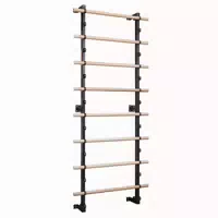 Sport Thieme Sprossenwand Xs