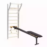 Sport Thieme Trainingsbank Combi Trainer By Nohrd