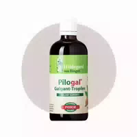Hildegard Pilogal Galgant Tropfen