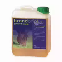 St Hippolyt Brandon Plus Gastro Balsam