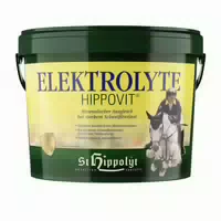 St Hippolyt Elektrolyte für Pferde