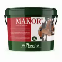 St Hippolyt Makor