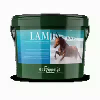 Lamin Forte Für Pferde 10 Kg