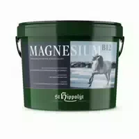 Magnesium