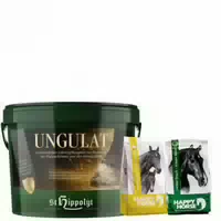10 kg