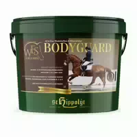 St Hippolyt Wes Bodyguard