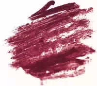 Stagecolor Liner Stick Lips Red Fire 1,14 g