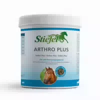 Stiefel Arthro Plus
