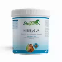 Stiefel Kieselgur