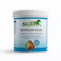 Stiefel Mangan Plus