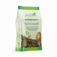 Stiefel Spitzwegerich