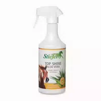 Stiefel Top Shine
