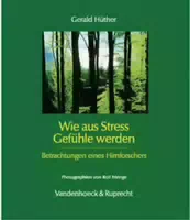 Wie aus Stress Gefühle Werden