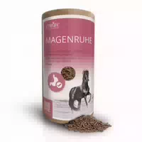 Ströh Magenruhe Feedbox Dose
