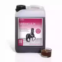 3 l