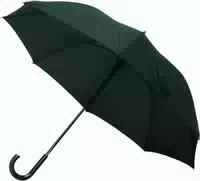 Sturm Regenschirm 65 cm Grün