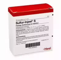 Sulfur Injeel S Ampullen 10 St Ampullen