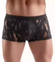 Pants in Ausbrenner Optik