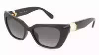 Swarovski 0sk6047