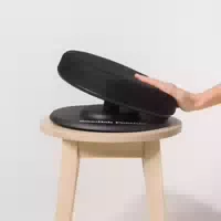 Swedish Posture Balance Sitz