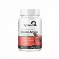 Synaptiq Fadogia Agrestis