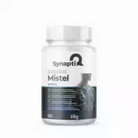 Synaptiq Mistel
