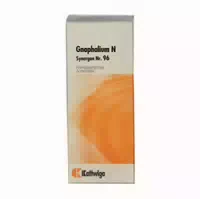 Synergon Komplex 96 Gnaphalium N Tropfen 50 Ml Tropfen