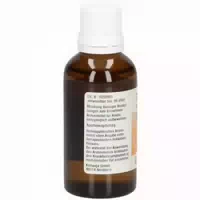 Synergon Komplex 52 Colocynthis S Tropfen