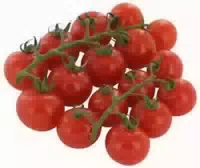 Cocktail Strauchtomaten