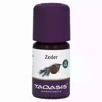 Wintergreen Bio Öl 5 Ml