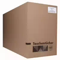 Frank Taschentücher Motiv Winter