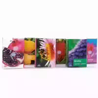 Frank Taschentücher Flora Pocket
