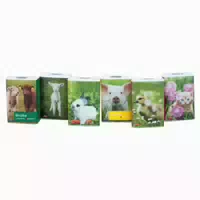 Taschentücher Pocket Tierkinder 1 st