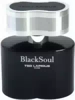 Ted Lapidus Blacksoul Eau De Toilette Edt 30 ml