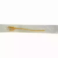 Rüsch Gold Ballonkatheter Für Frau Ch 12 5 15ml