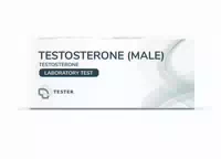 The Tester Testosteron Test Männlich