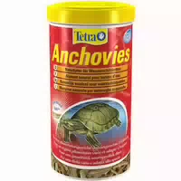 Tetra Anchovies