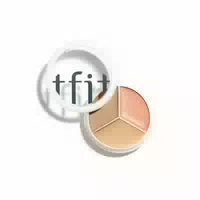 Tfit Cover Up Pro Concealer 15g 02 Warm