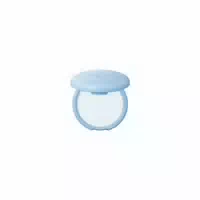 The Saem Saemmul Perfect Pore Pact 12g