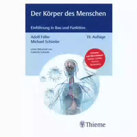 Der Körper Des Menschen