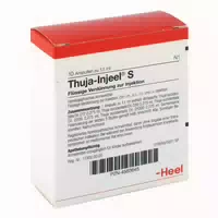 Thuja Injeel S Ampullen 10 St Ampullen