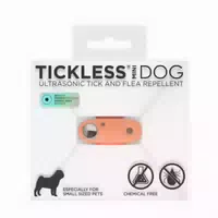 Tickless Mini Hund