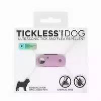 Tickless Mini Hund Pfirsisch