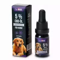 10 ml